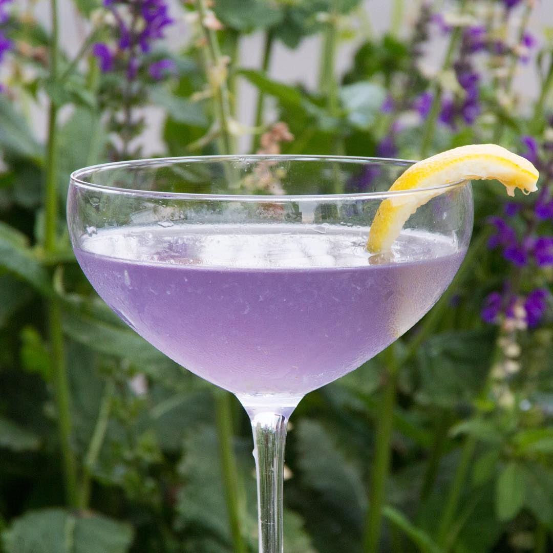 Aviation Cocktail - boozist