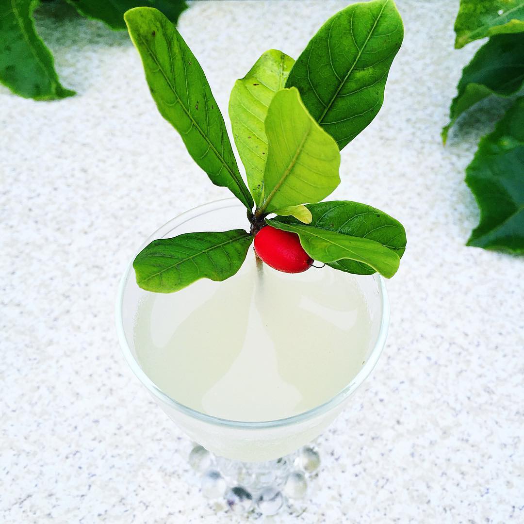Miracle Daquiri - maxymixalot