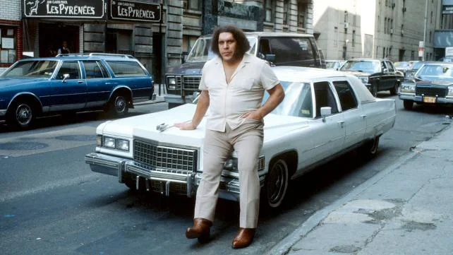 "I'm sorry sir, only people who can legitimately order 40 drinks for last call can lean against that--oh! It's you, Andre. Carry on, sir."