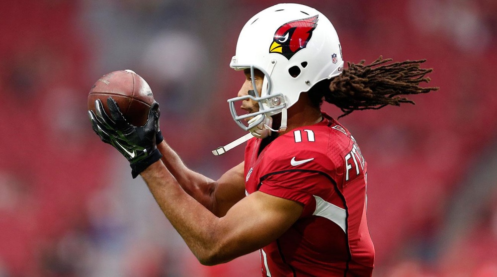 mmqb-fitzgerald-larry-catch.jpg