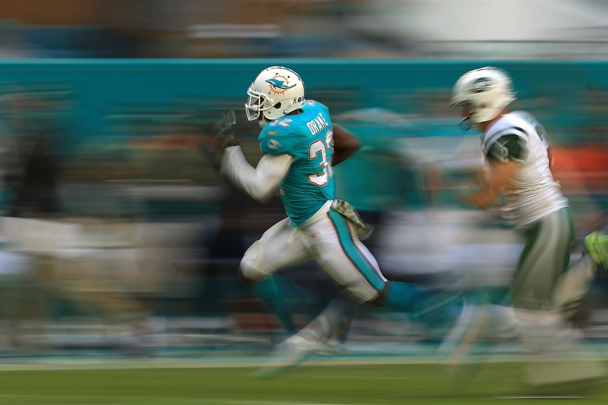 Kenyan Drake.jpg