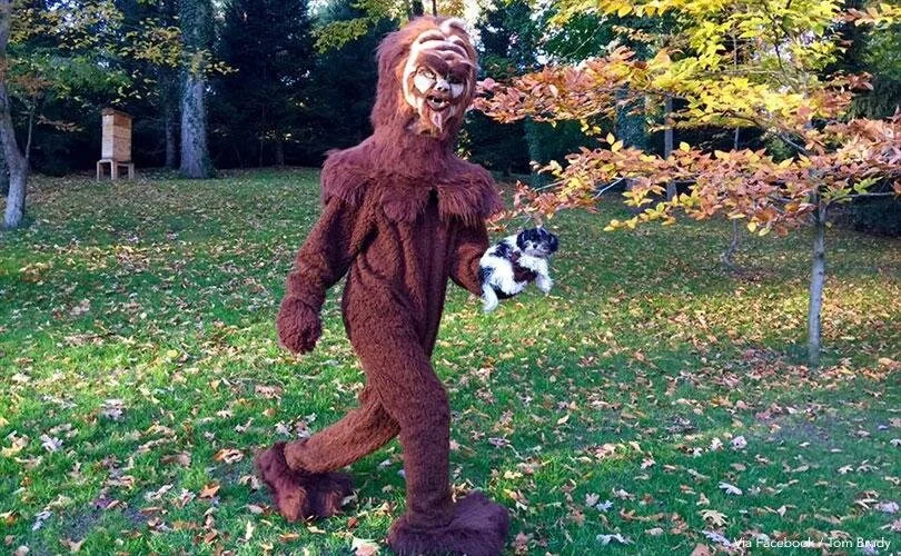 Another Tom Brady sighting in the woods