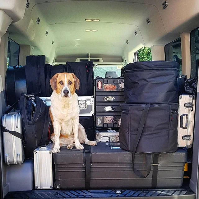 We're ready to roll! -
-
-
#metaldog #tour #roadtrip #gear #vanlife #pleasedontgo #metalband