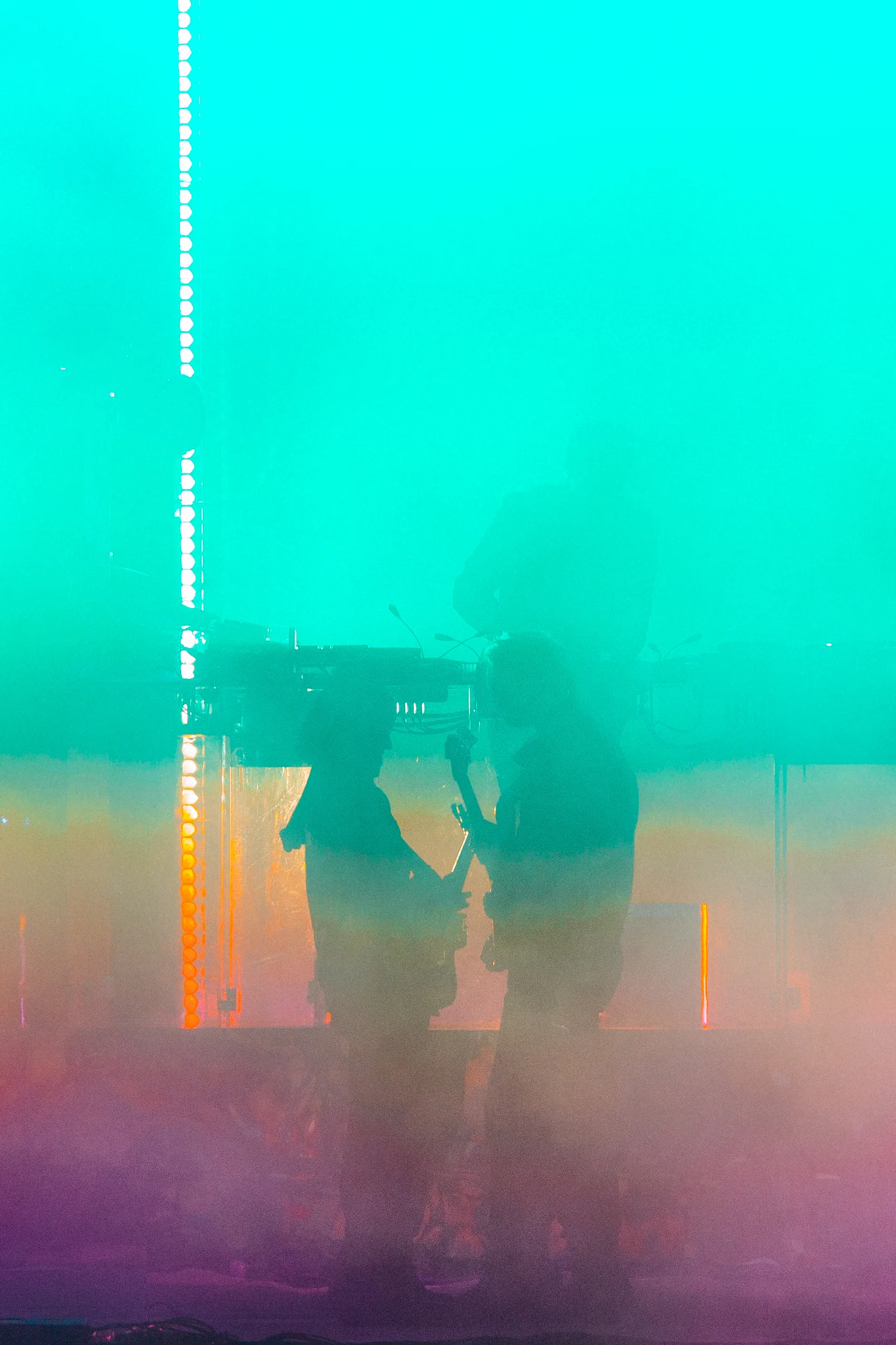 The XX