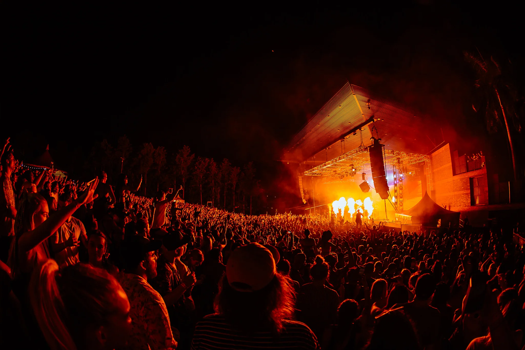 Mitch Lowe Photo - FOMO Website-41.jpg