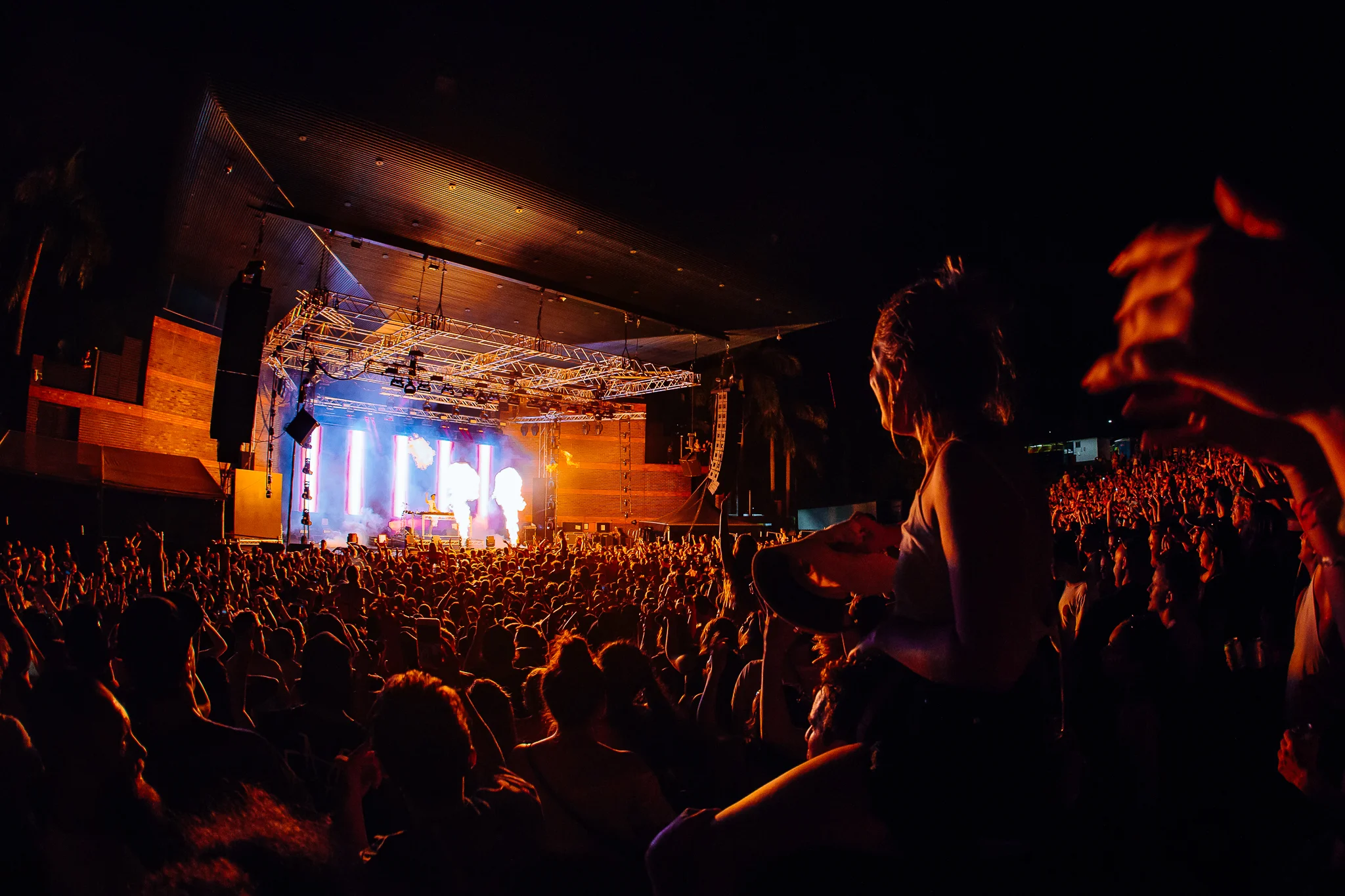 Mitch Lowe Photo - FOMO Website-42.jpg