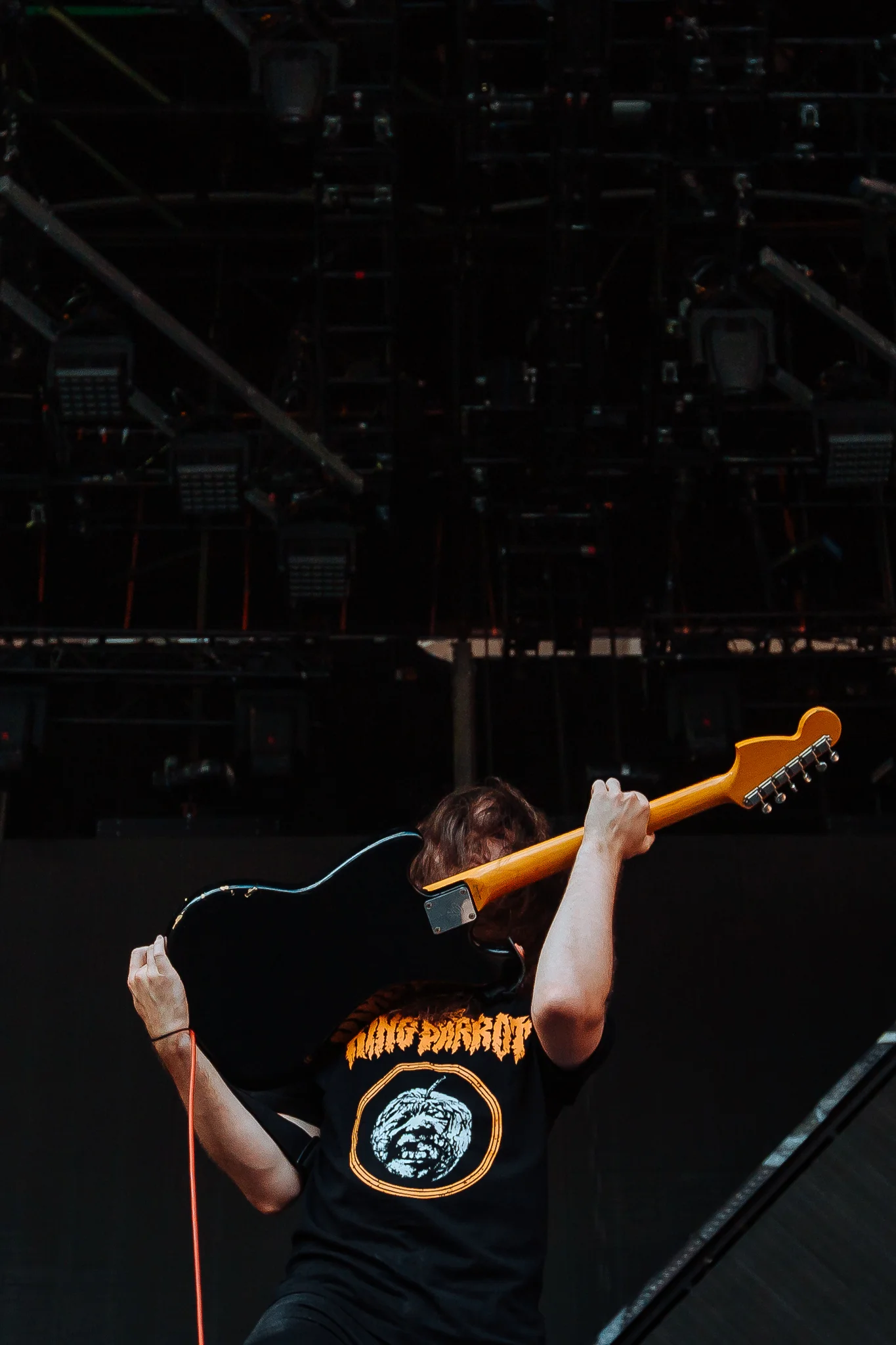 Mitch Lowe Photo - Foo Fighters - Suncorp Stadium-3.jpg