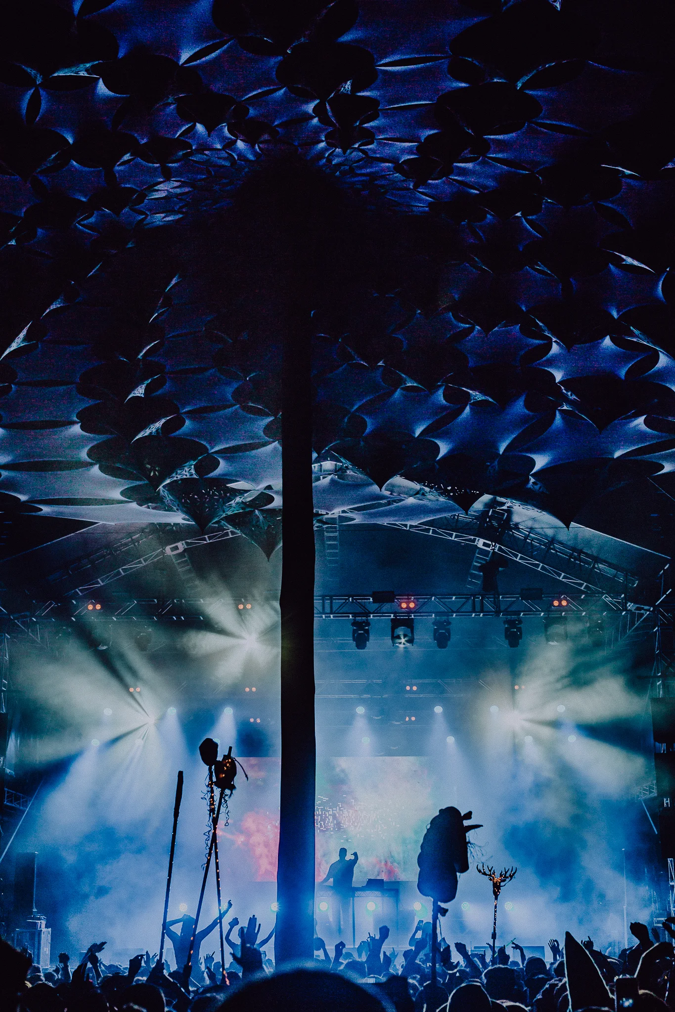 Mitch Lowe Photo - Mountain Sounds 2018-32.jpg