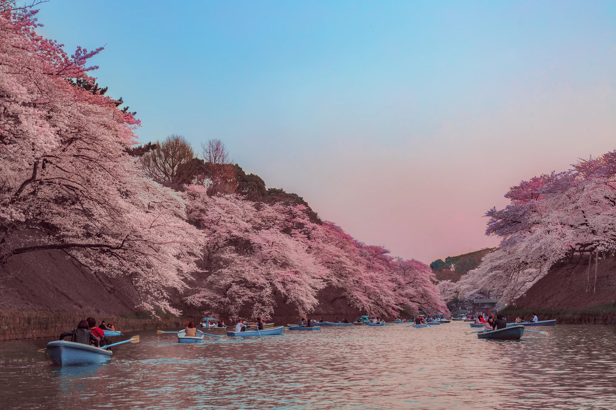 Mitch Lowe Photo - Tokyo-.jpg