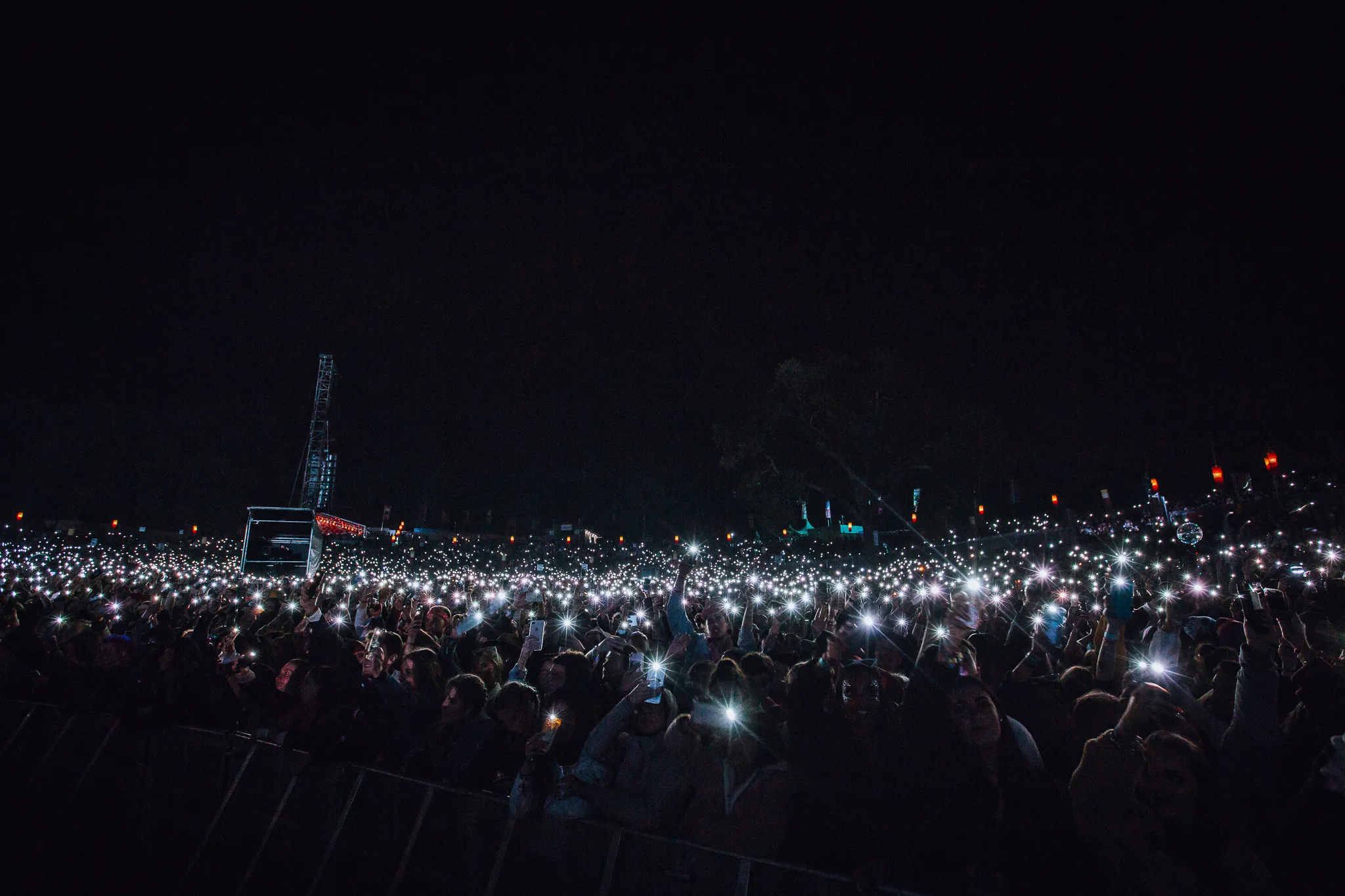 Mitch Lowe Photo - SITG2018-145.jpg