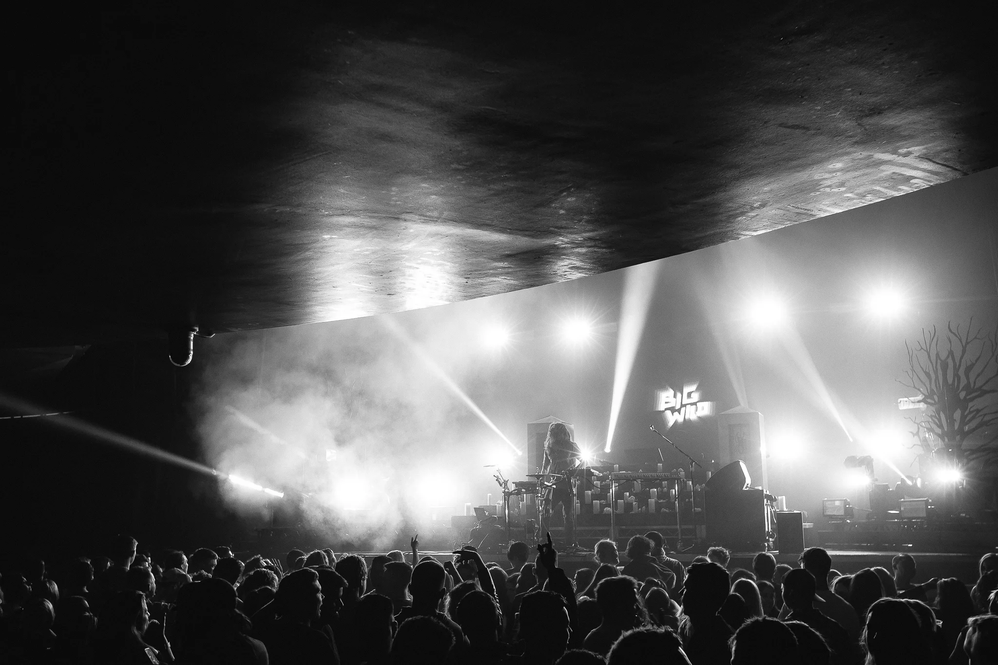 Mitch Lowe Photo - Golden Features Australian SECT Tour 2018-44.jpg