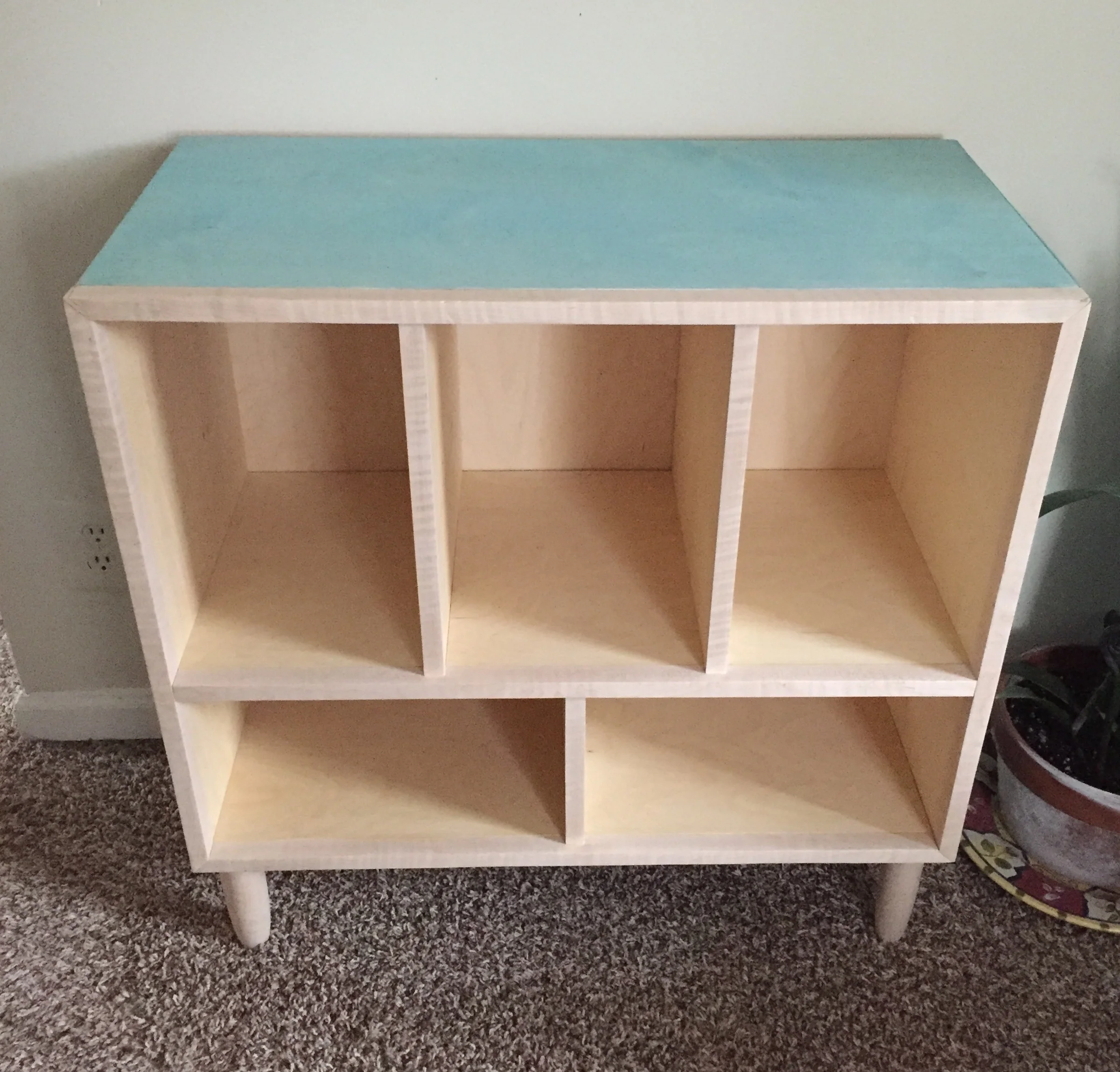 Vinyl Shelves