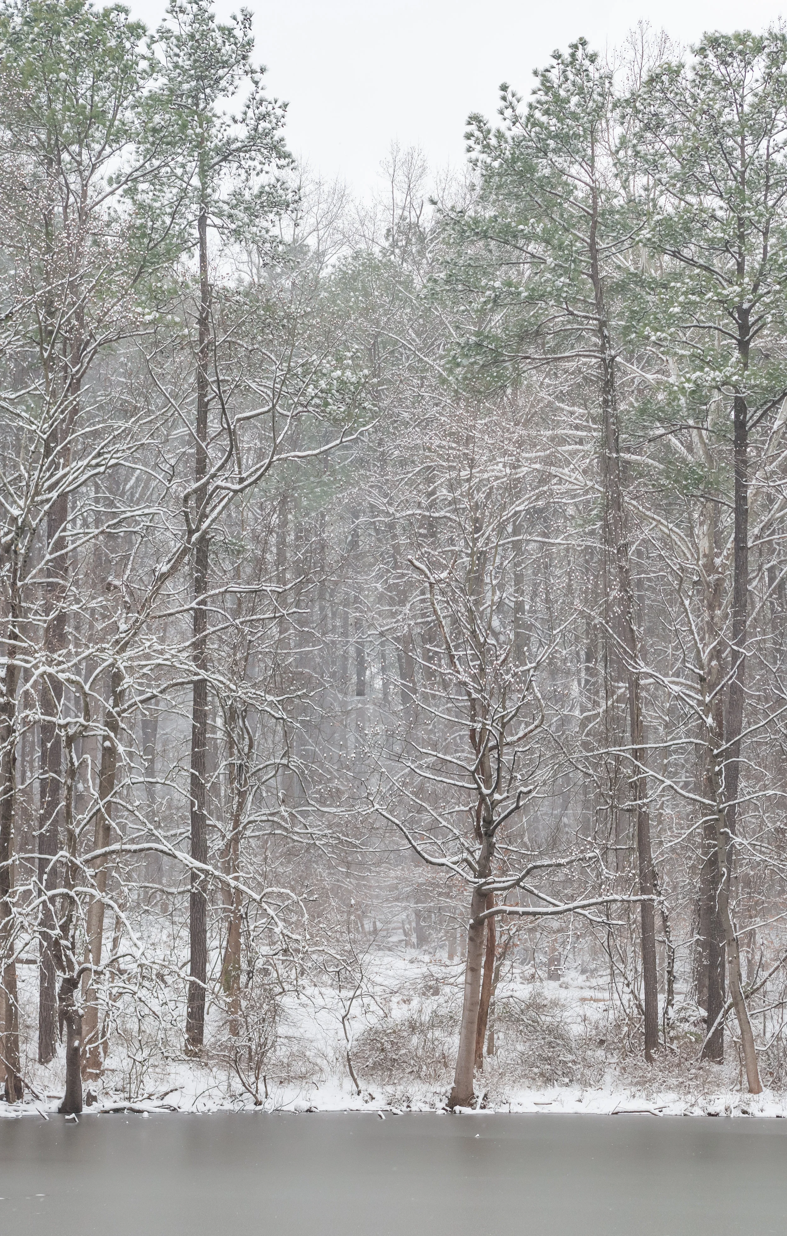 First Snow