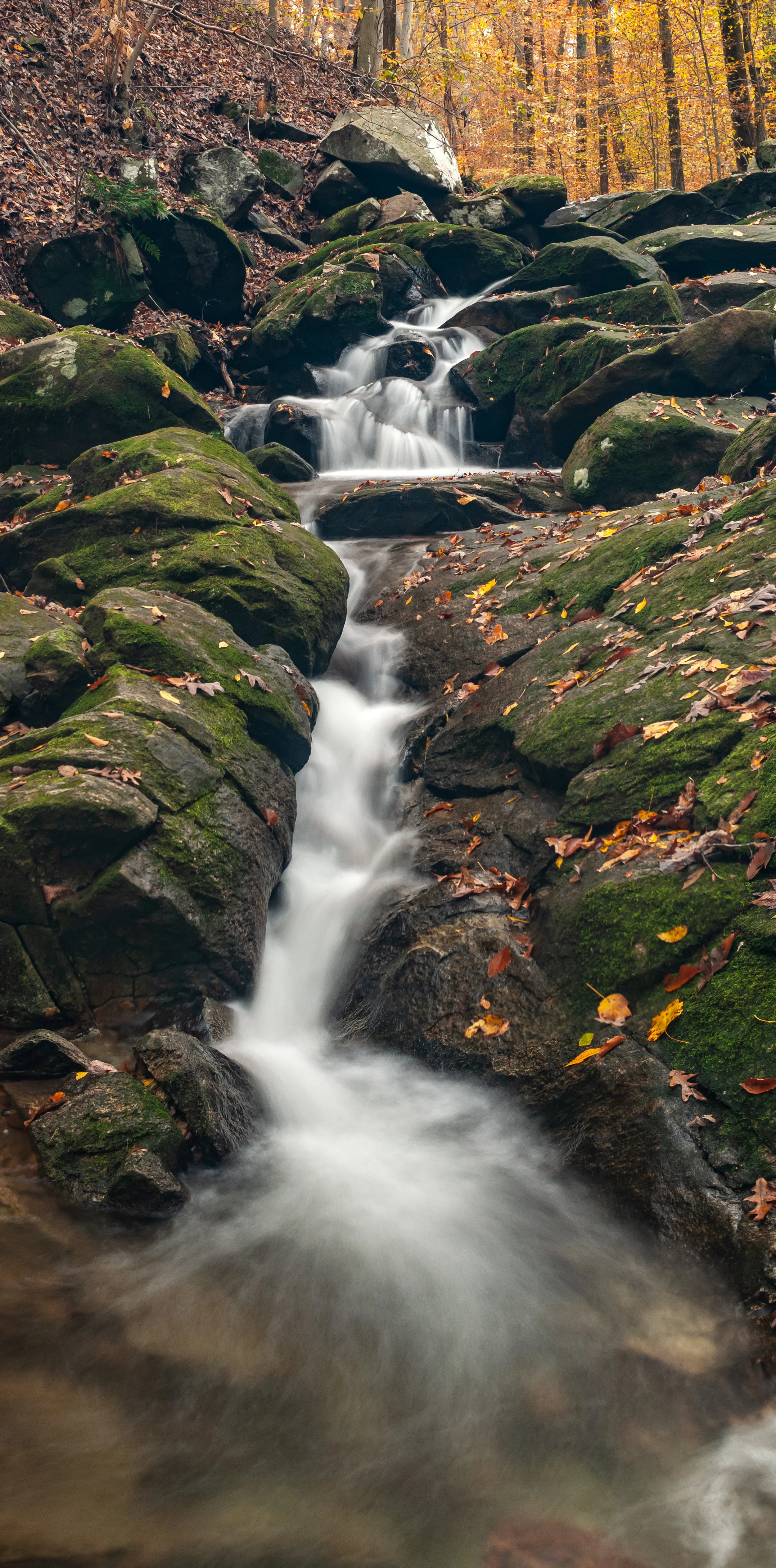 Loch Raven Autumn