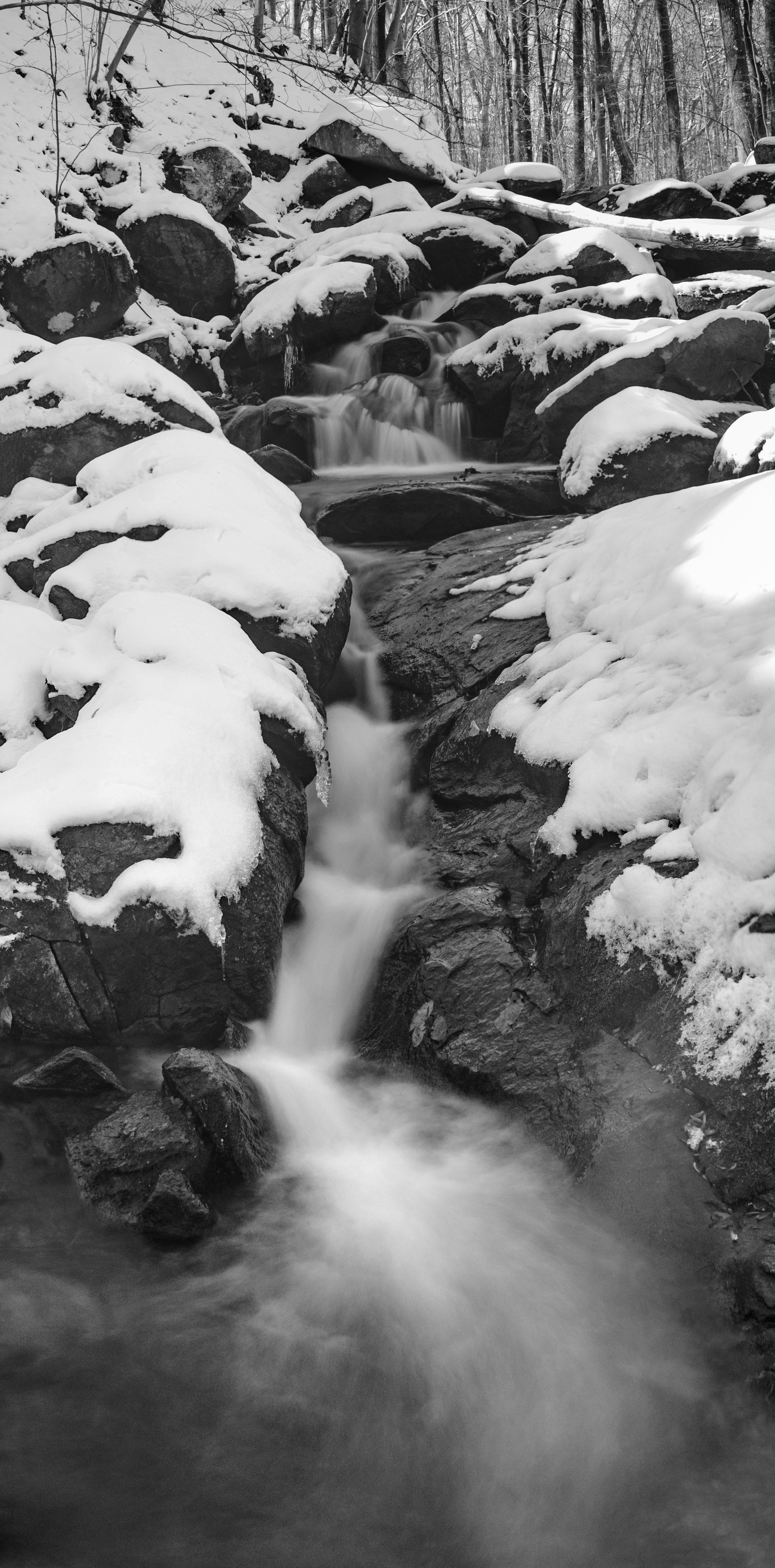 Loch Raven Winter