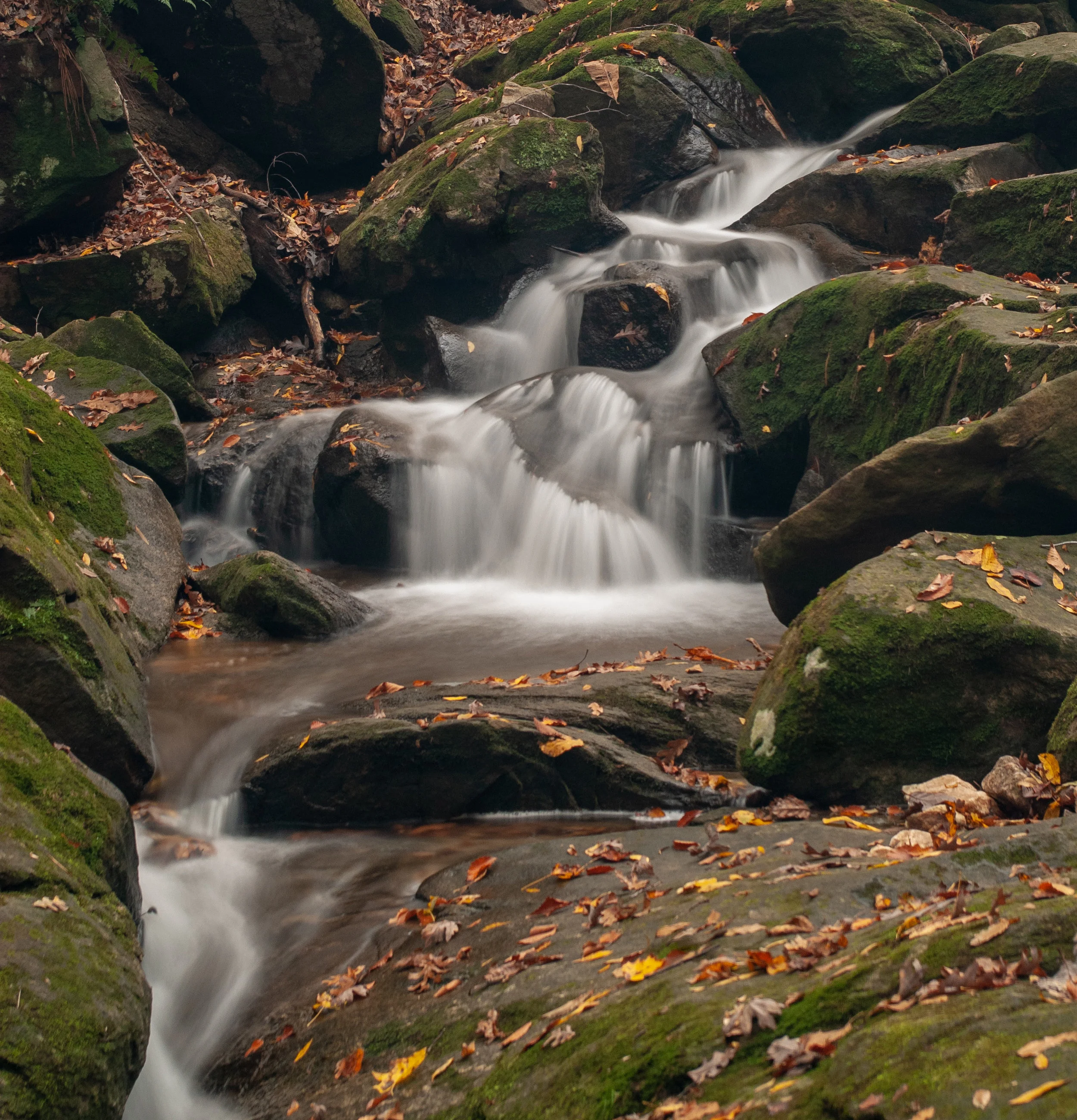 Autumn Cascade