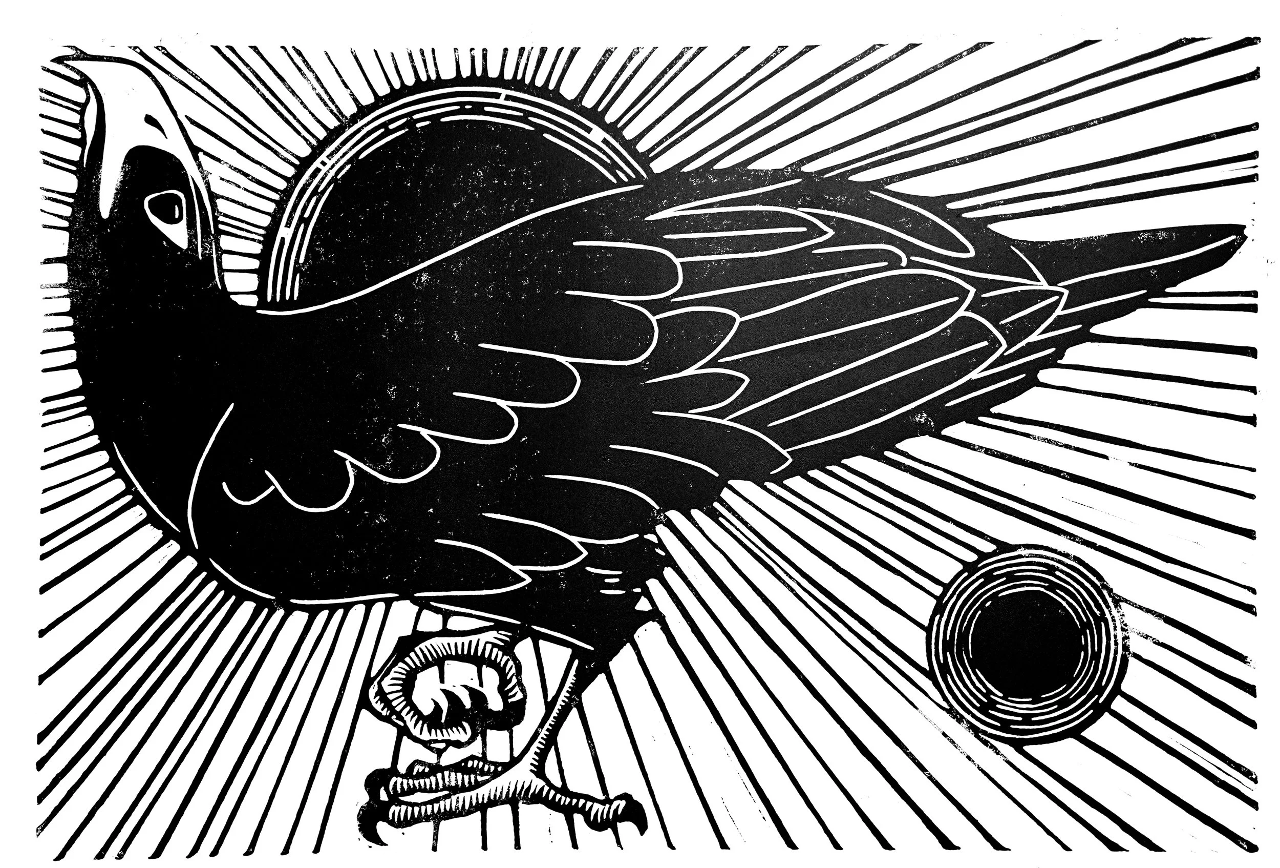 DSC00904[1] copy.jpg