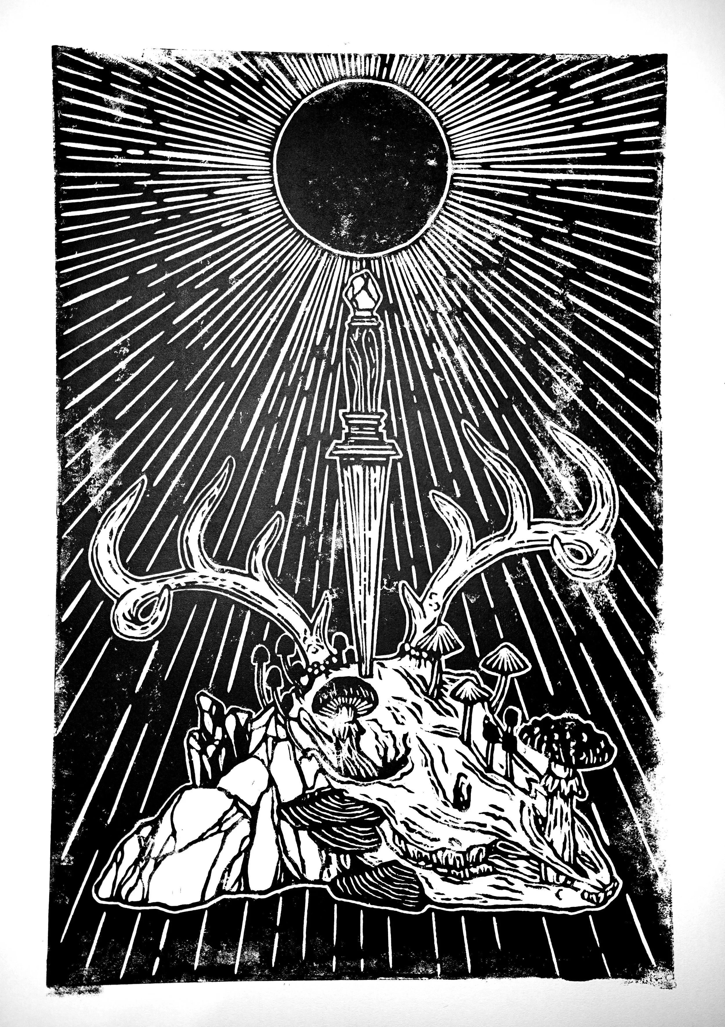 DSC00899[1] copy.jpg