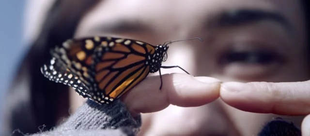 EUDAEMONIA (2018) || FILM TRAILER