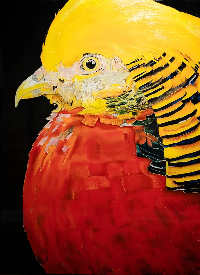 Golden Pheasant No. 5 36” x 48” $14,424
