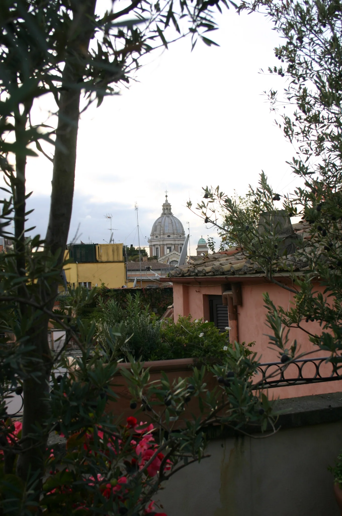 IMG_6979.JPG
