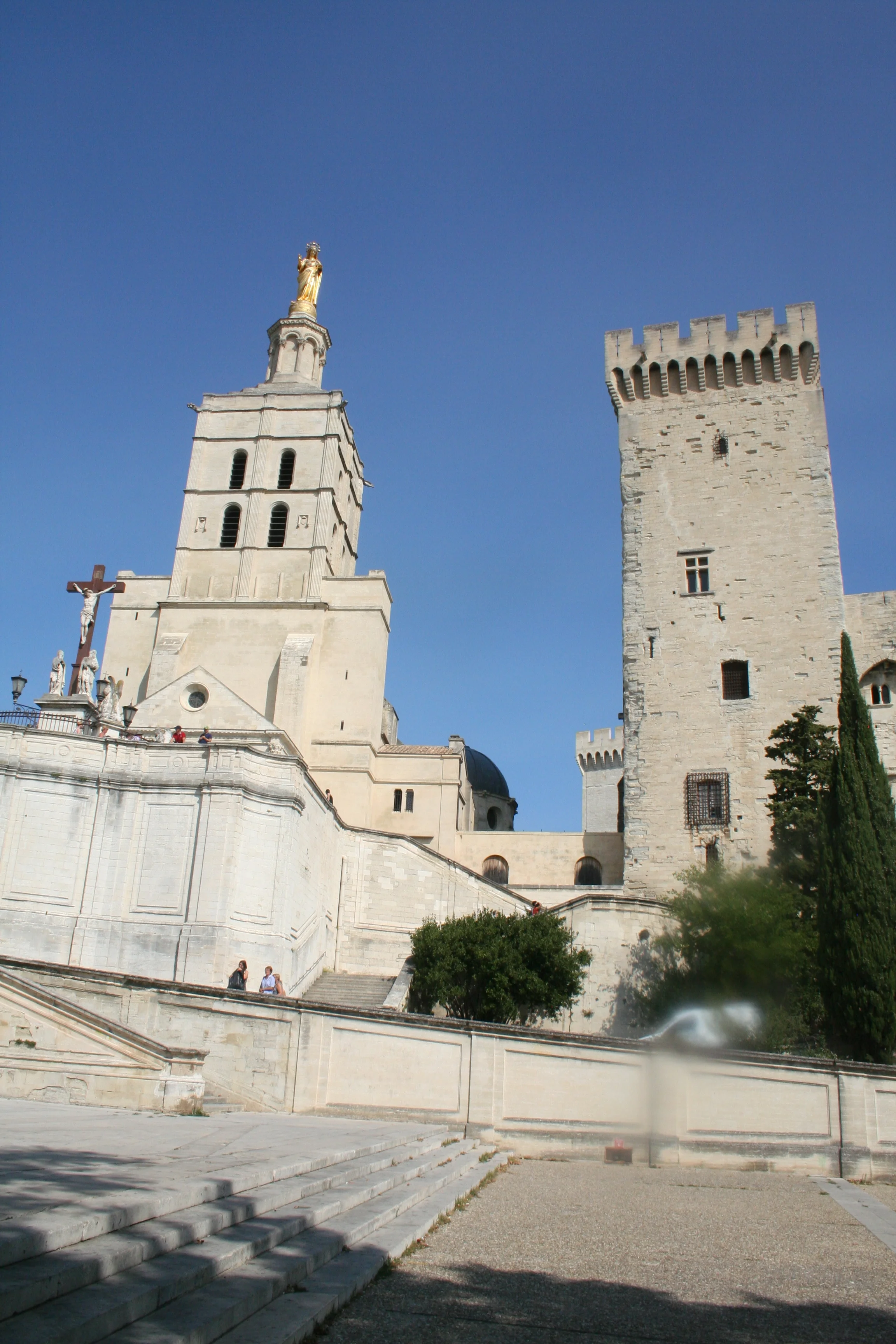  Cathedral and Palace du Papes, home of the Roman Catholic Popes in the 13th and 14th centuries 