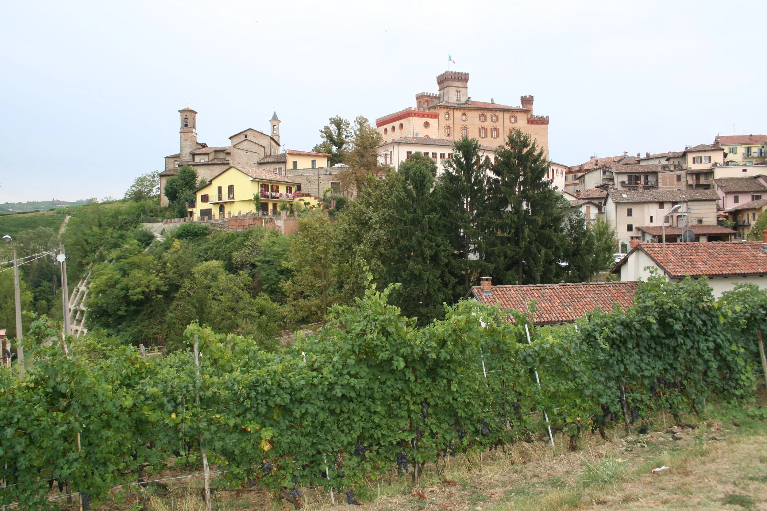  Barolo 