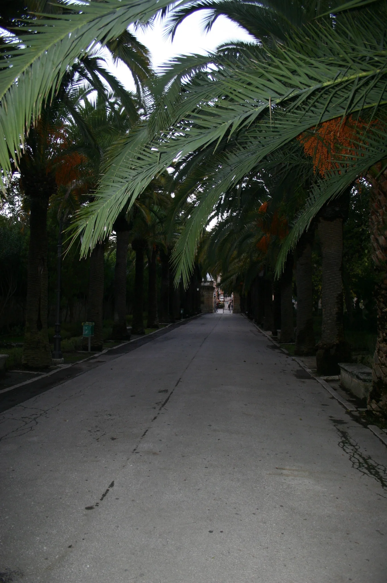 IMG_6781.JPG