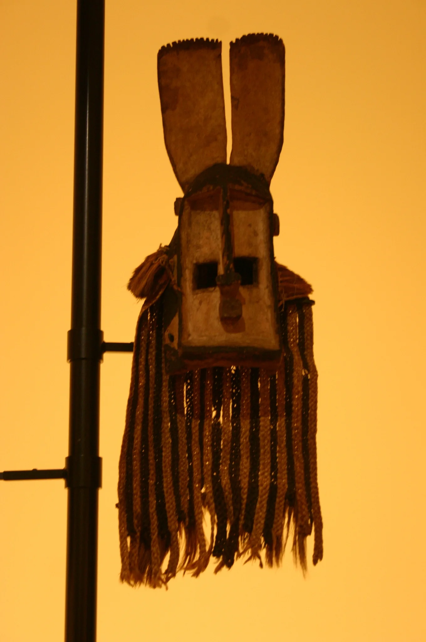 IMG_7272.JPG