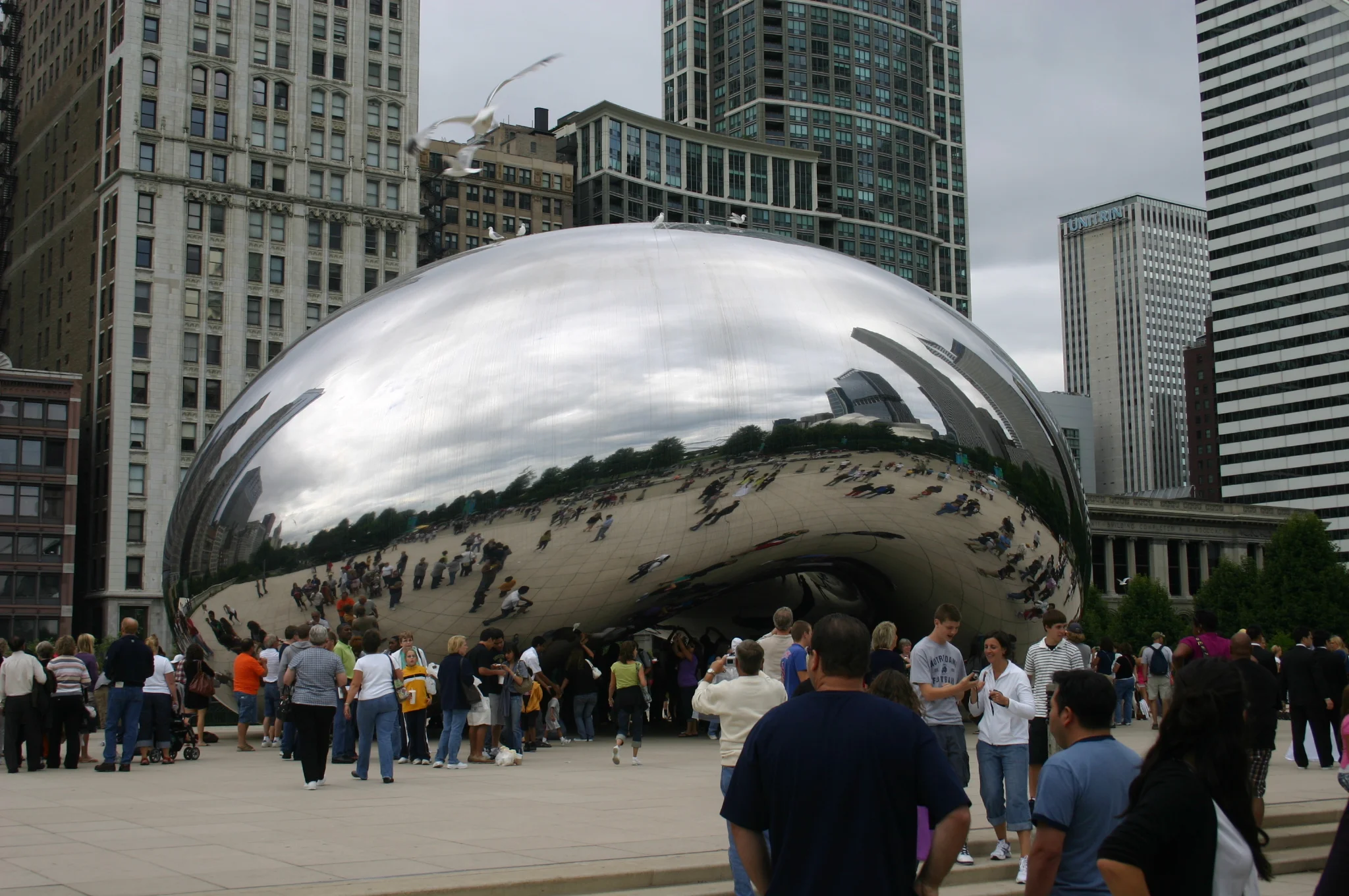 IMG_5497.JPG