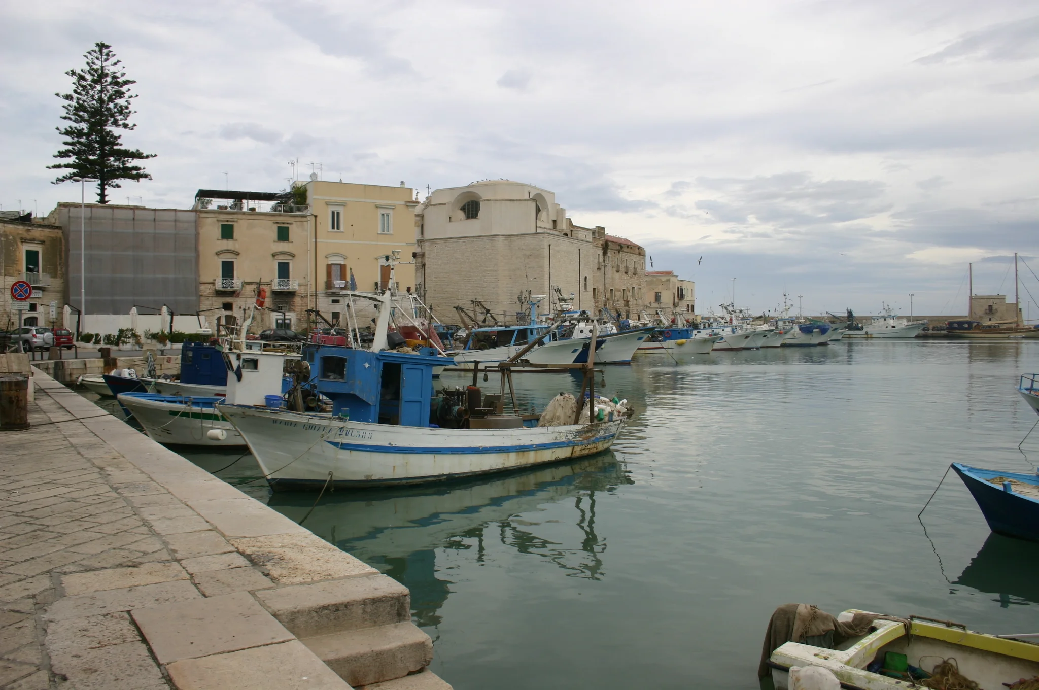 IMG_8183.JPG