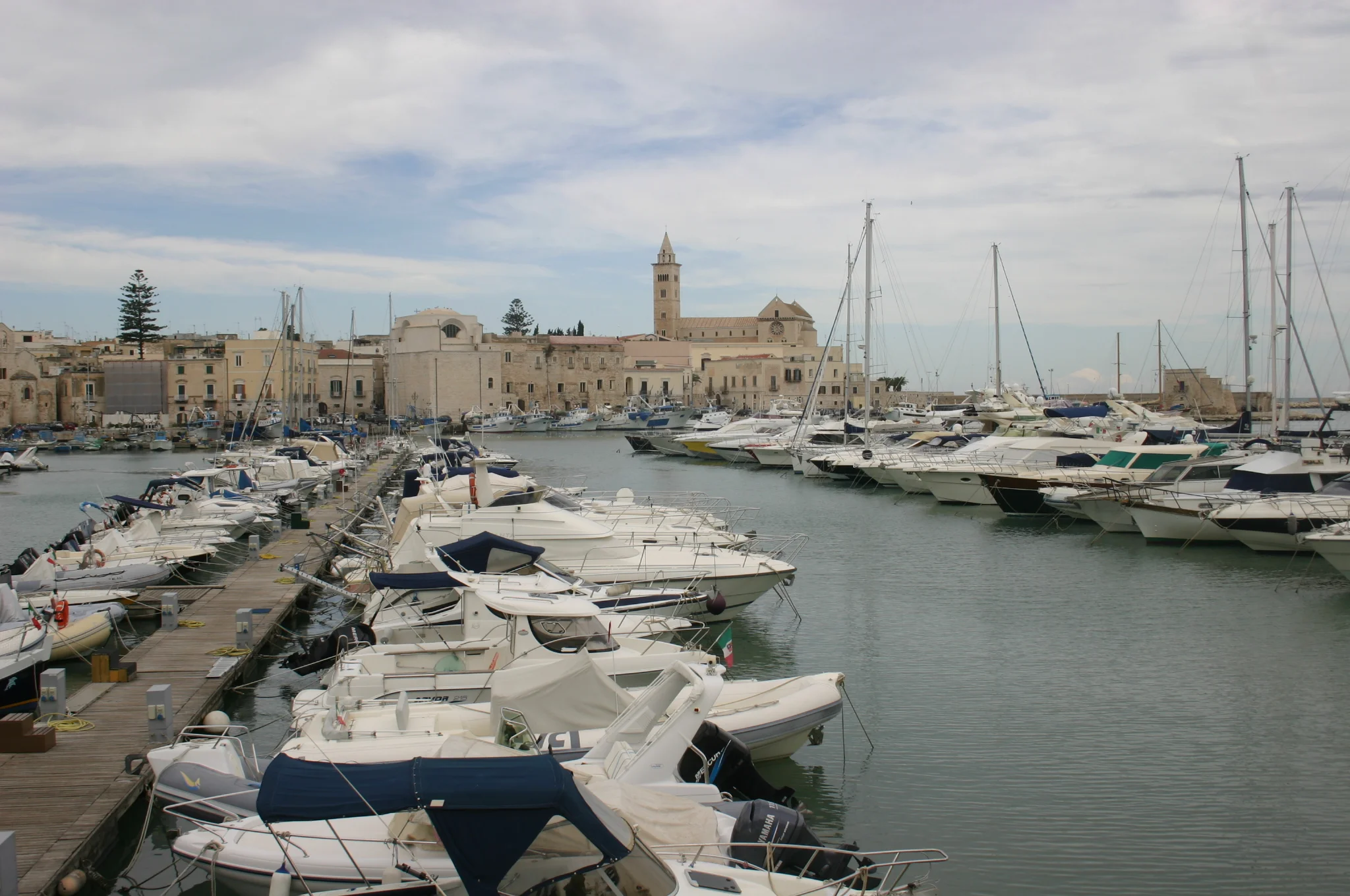 IMG_8184.JPG