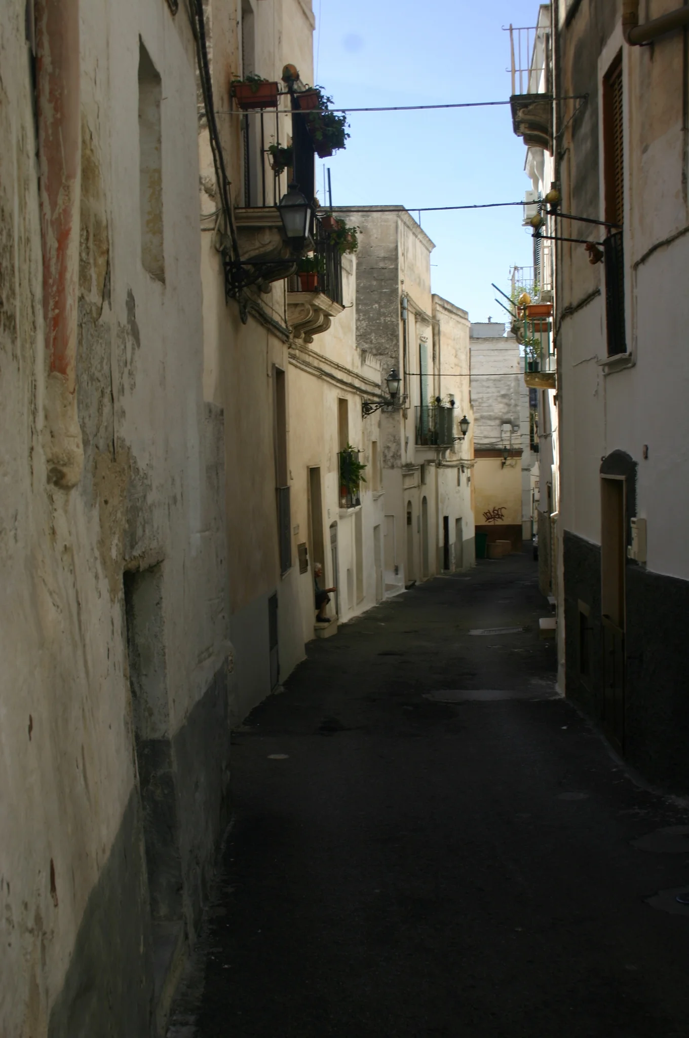 IMG_8242.JPG