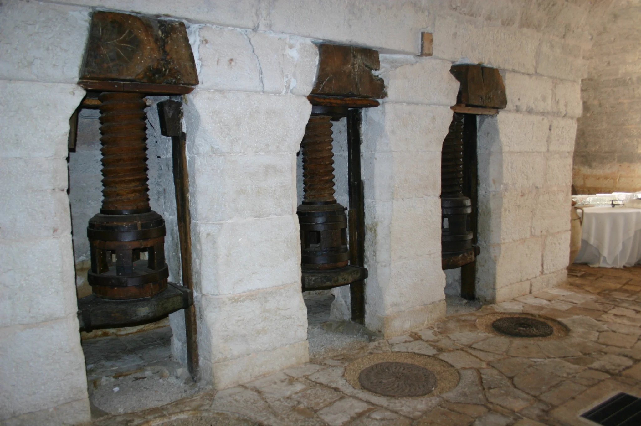 IMG_8260.JPG