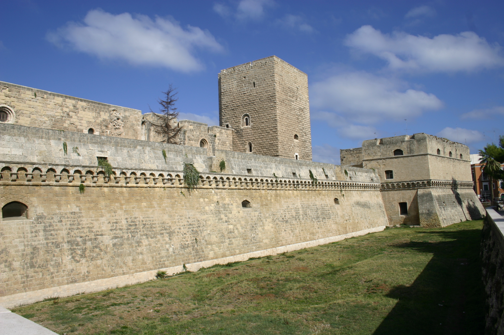 IMG_8264.JPG