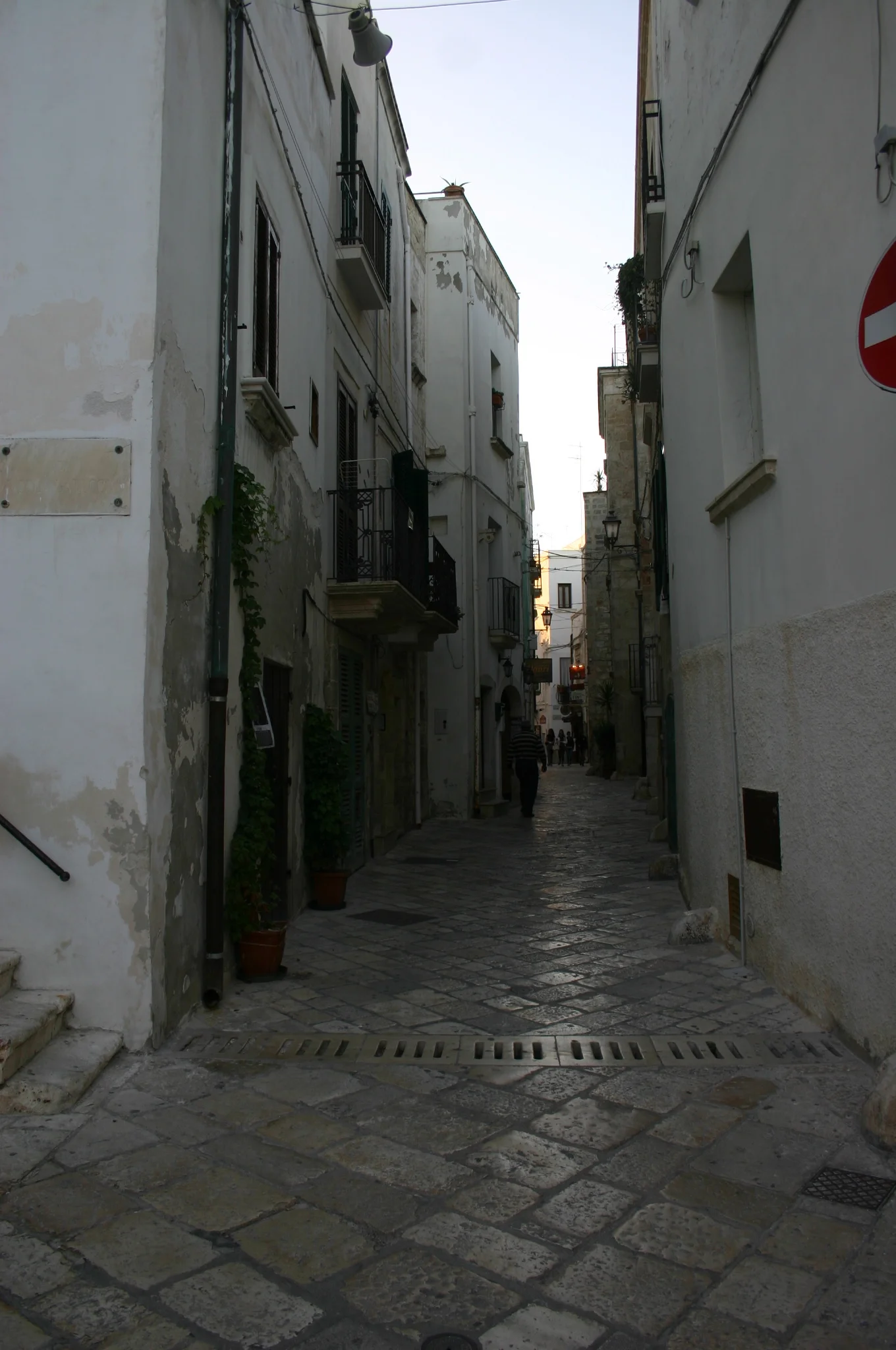 IMG_8286.JPG