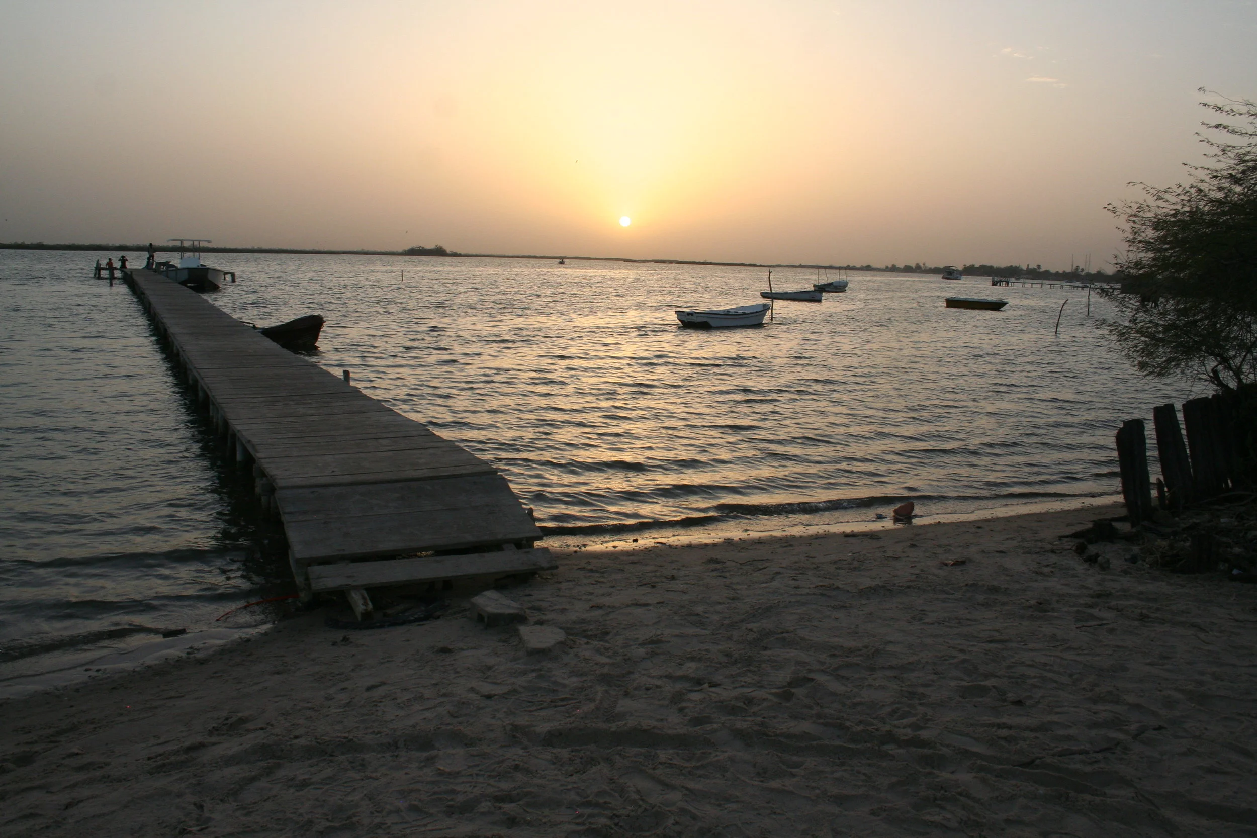 IMG_1875.JPG