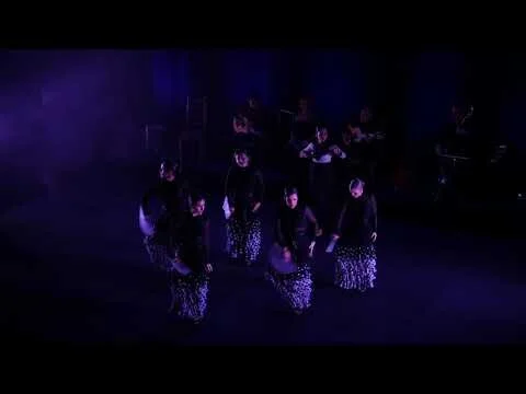 The Unsaid 1 promo / The Sydney Flamenco Studio (Copy)