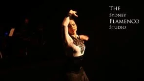 THE SYDNEY FLAMENCO STUDIO (Copy)