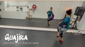 3. GUAJIRA 2nd letra end + Bulerias tapao (Copy)