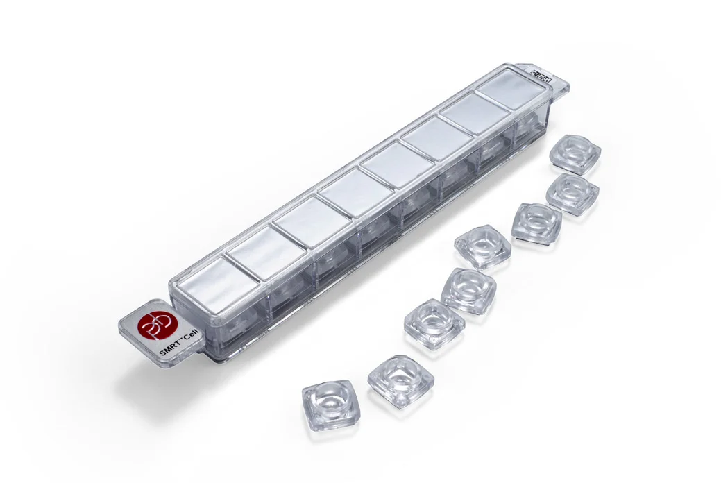 Newb-chip strip-1039x697.jpg