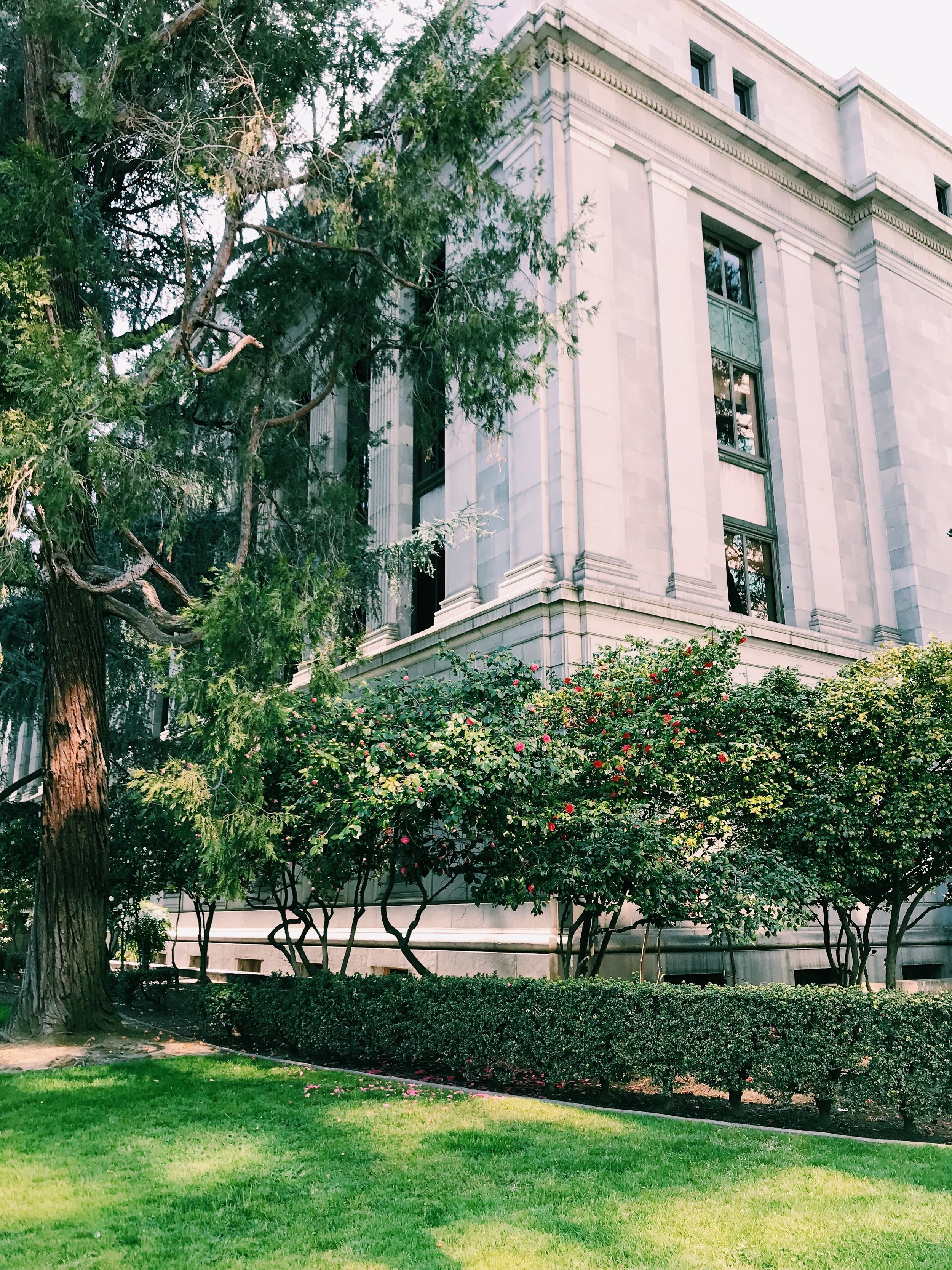 Three Heel Clicks - Spring Blooms in Sacramento's State Capitol Park (7).jpg