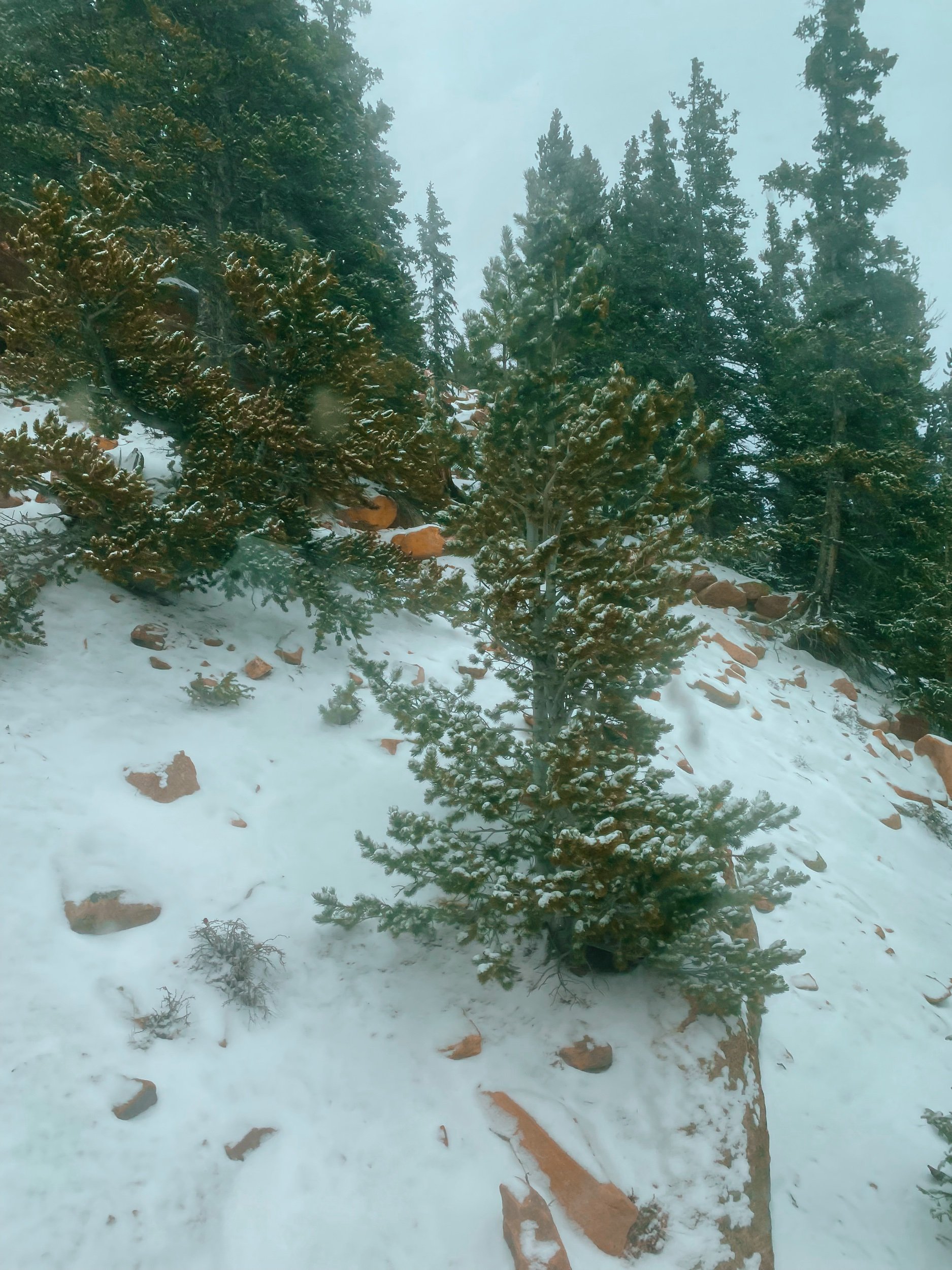 Three Heel Clicks - How I Was Able to Overcome a Fear of Heights on Pike Peak's Summit