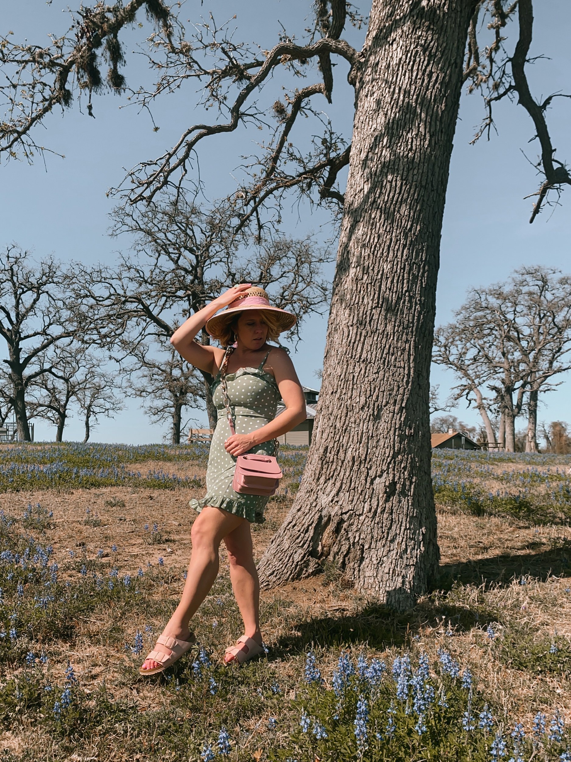Three Heel Clicks - Bluebonnet Fields in Texas