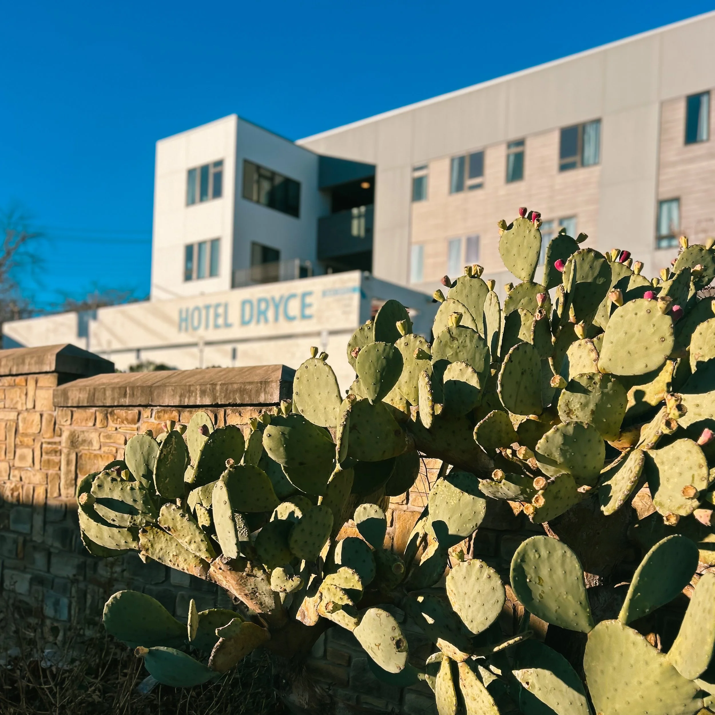 From the Inn: Fort Worth’s Cowboy Retreat - Hotel Dryce