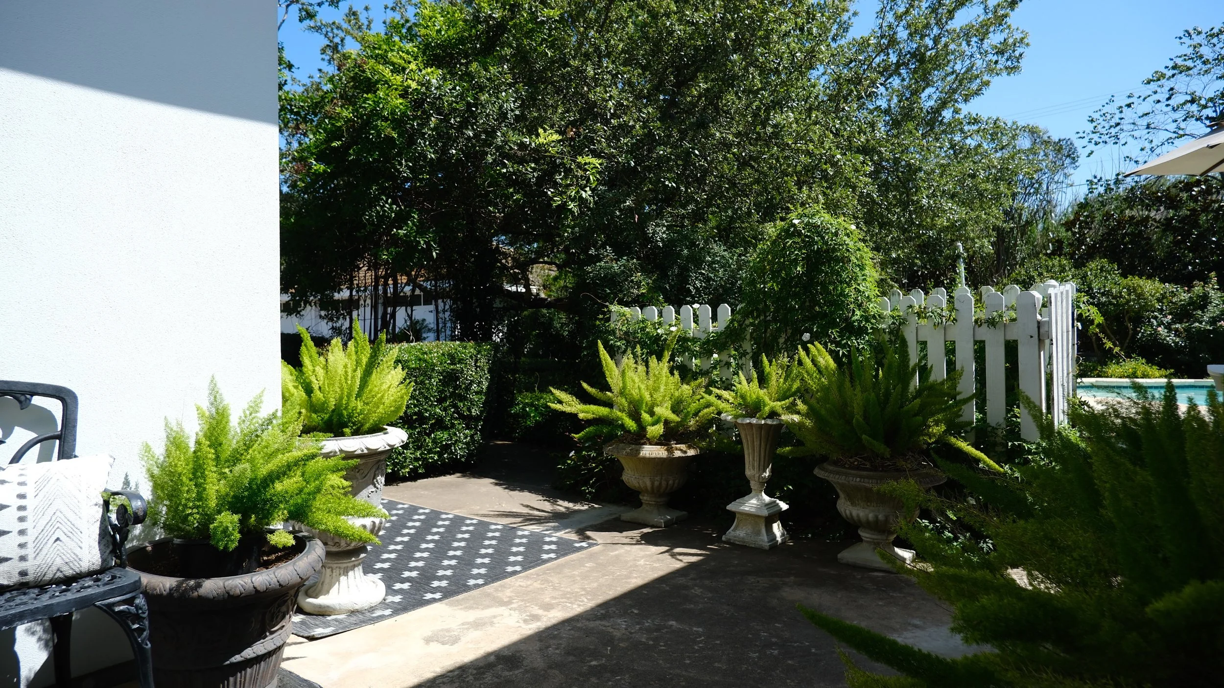 DSCF1524.jpg