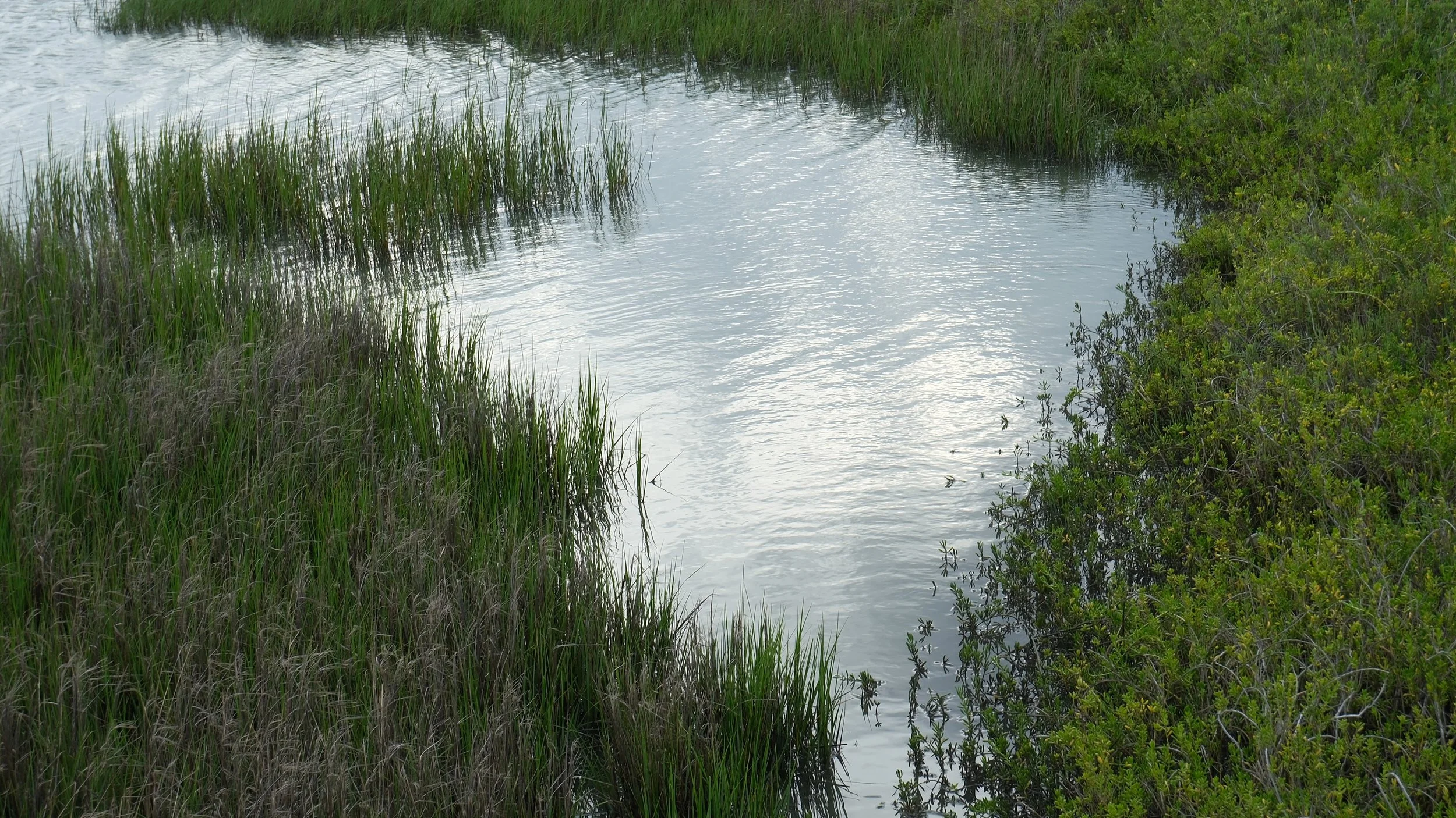 DSCF2612.jpg