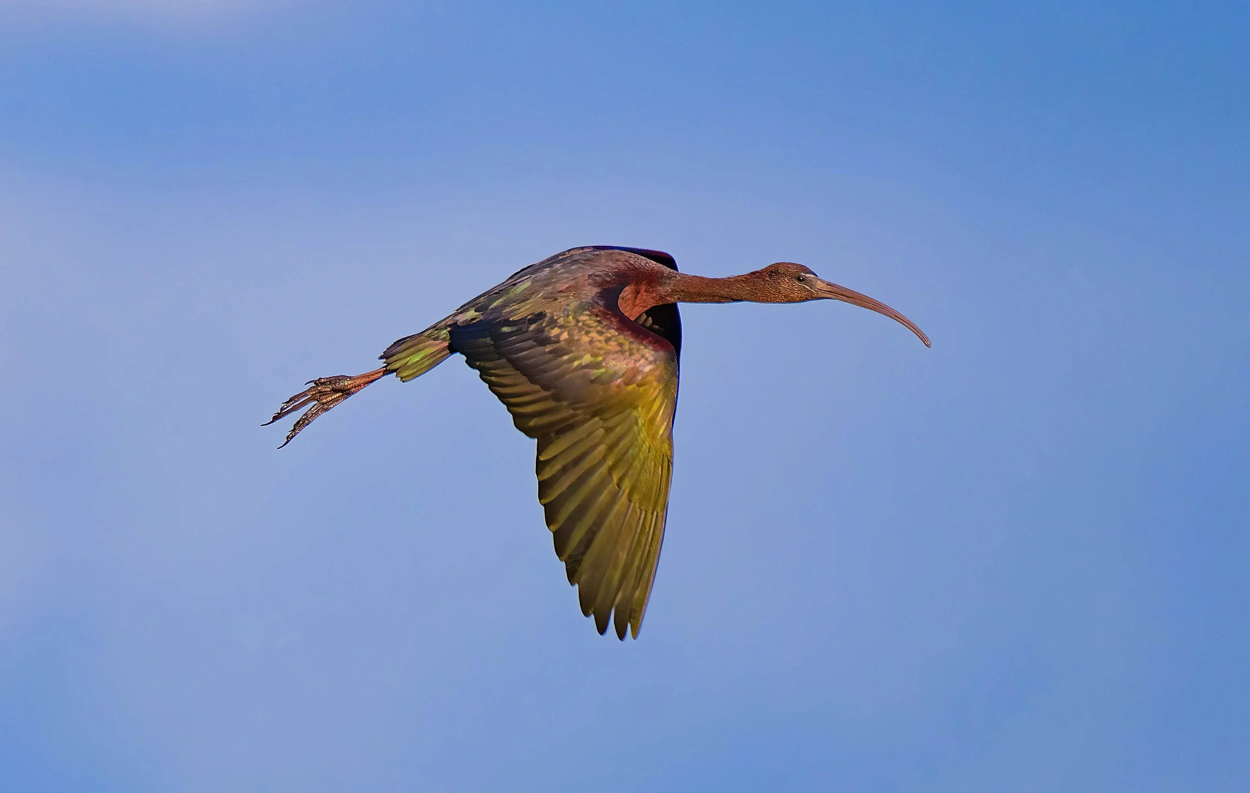 850_0924-Edit-Edit.jpg