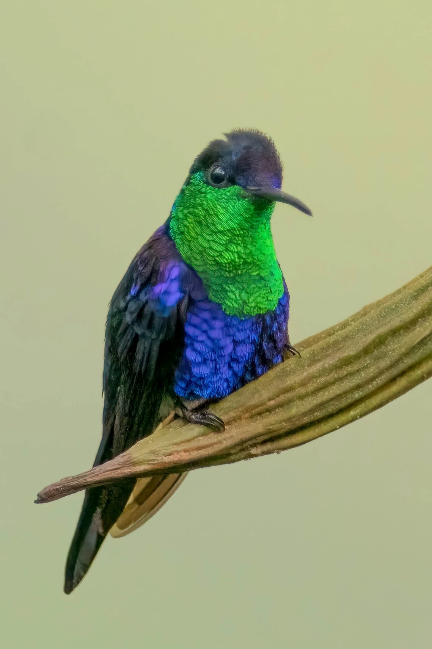 _DSC3818-Edit-Edit-2.jpg