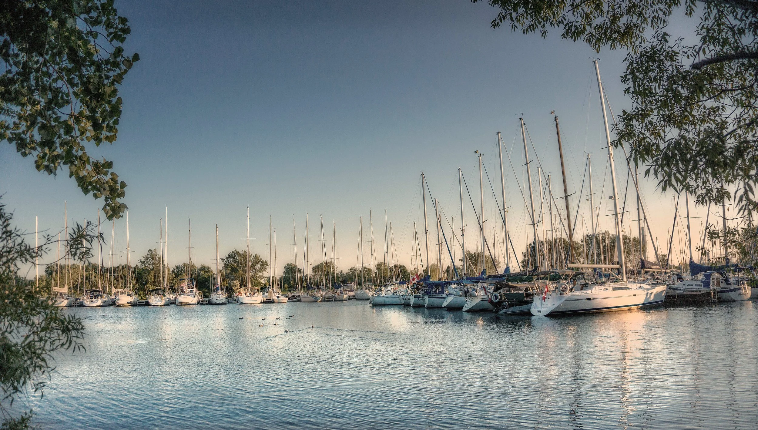 _DSC1924-Edit-Edit-Edit.jpg